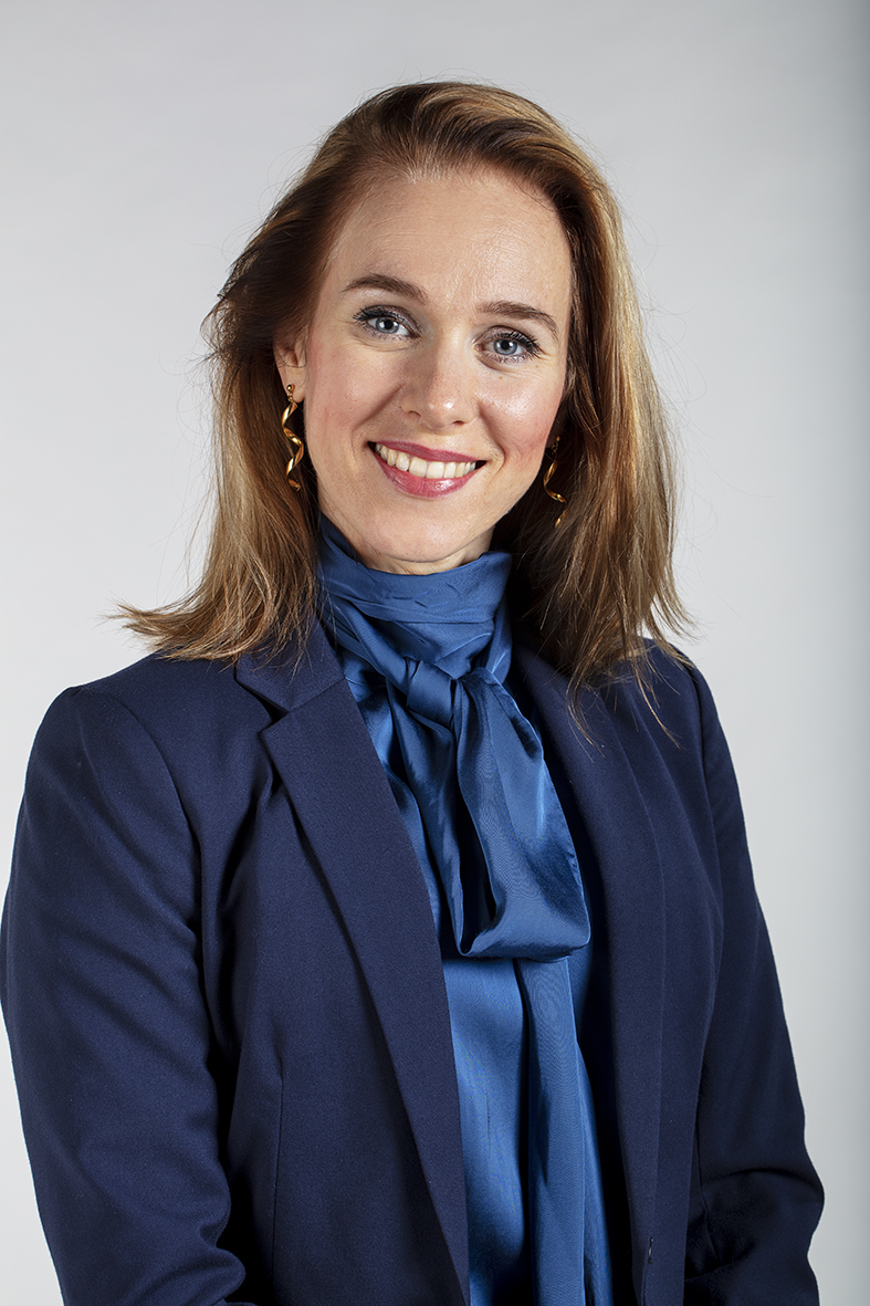 BigBiz Nordic consulting